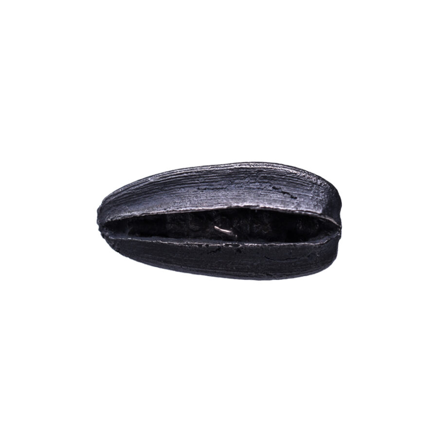 Hans-Otto Ojaste pin