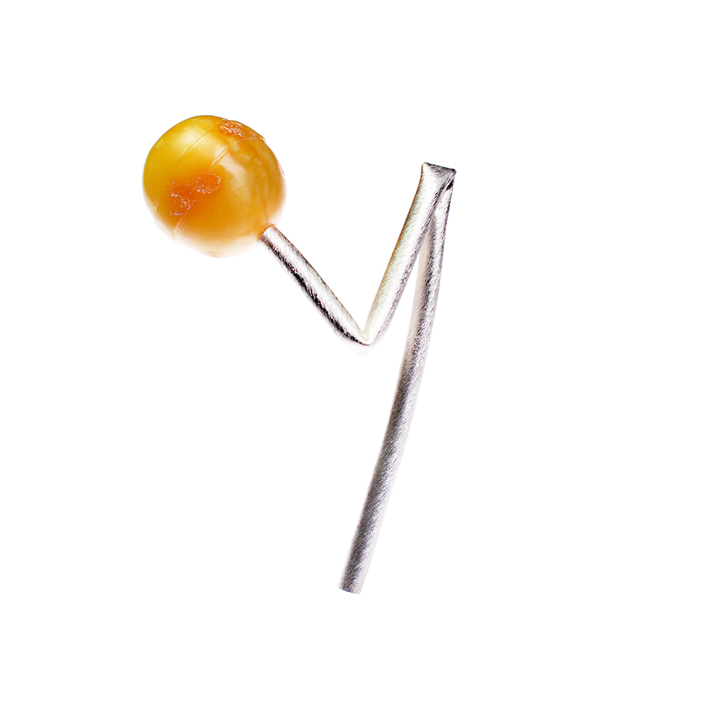 Adolfas Šaulys brooch