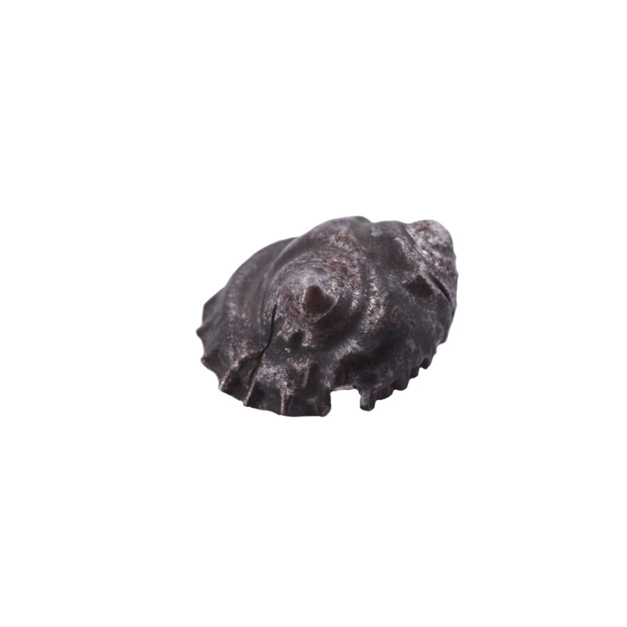 Hans-Otto Ojaste pin